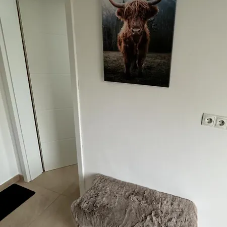 In *